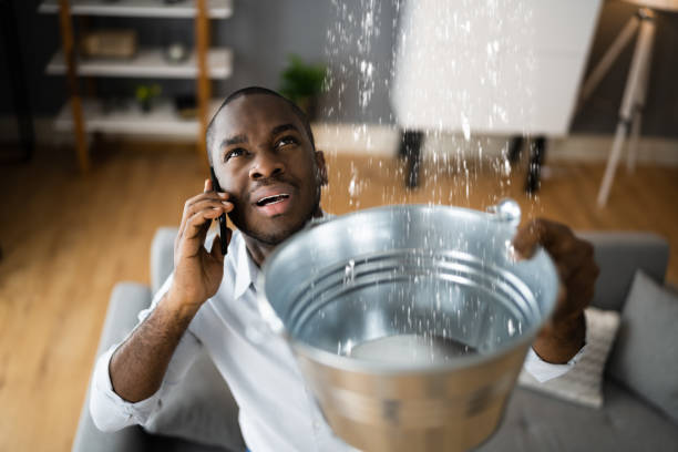 Best Flood damage cleanup  in Pinehurst, ID