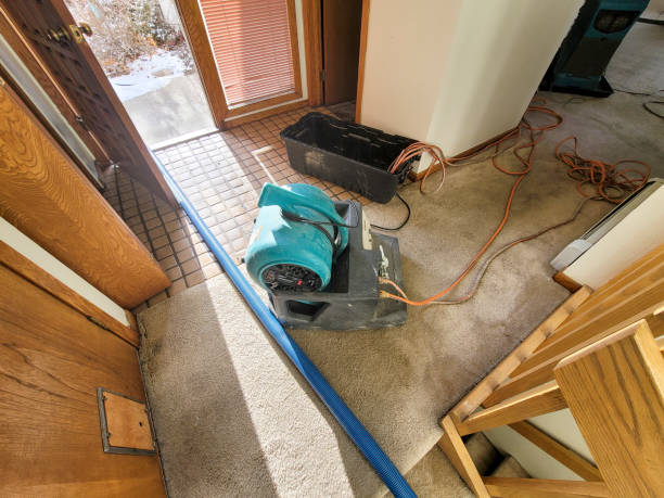 Best Fire Damage Restoration  in Pinehurst, ID