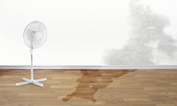 Best Emergency water damage restoration  in Pinehurst, ID