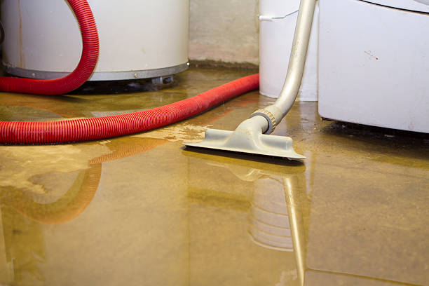 Best Sewage cleanup and water damage restoration  in Pinehurst, ID