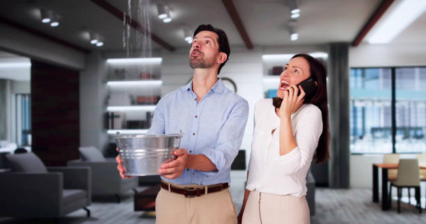 Best Local water damage restoration  in Pinehurst, ID
